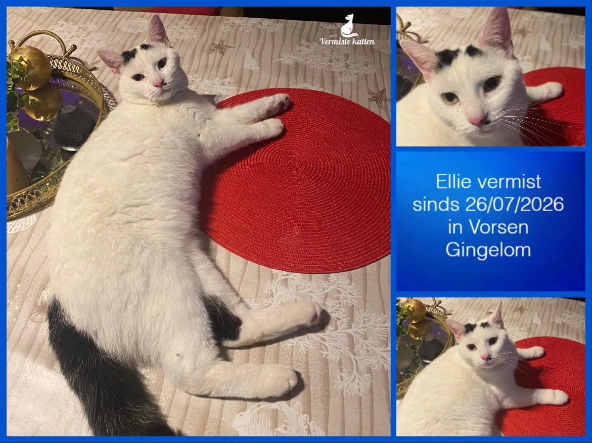 Ellie