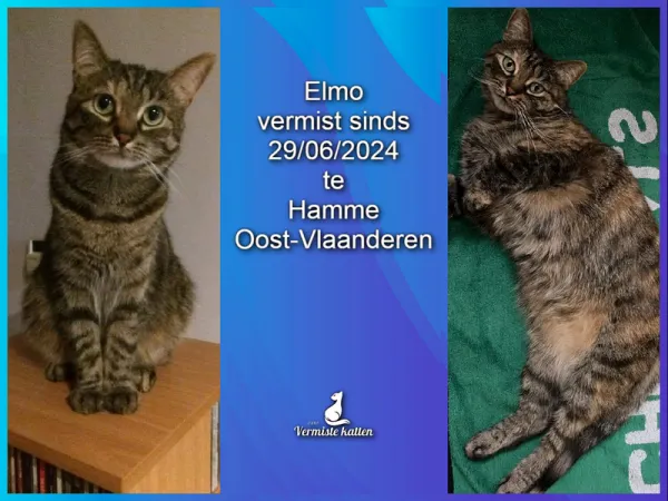 Elmo