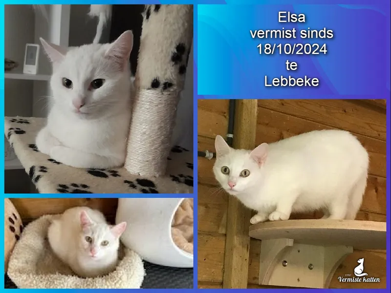 Elsa