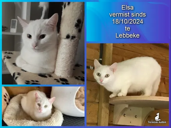 Elsa
