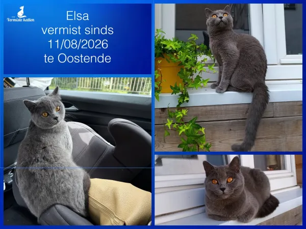 Elsa
