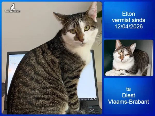 Elton