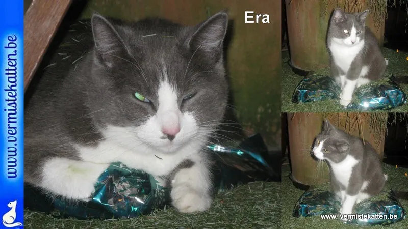 Era