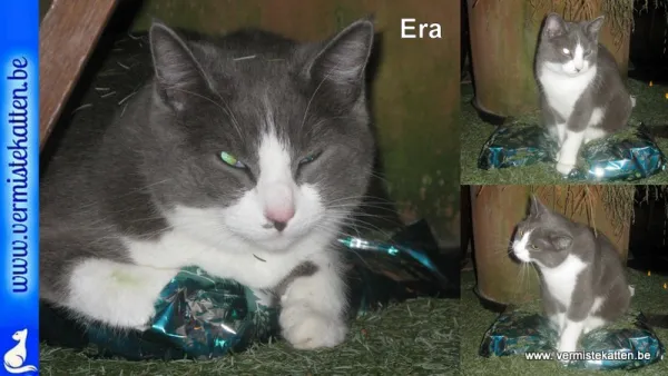 Era