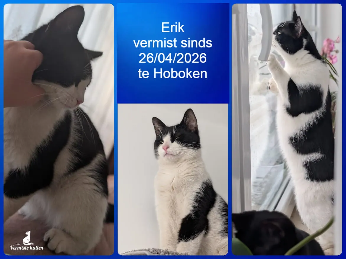 Erik