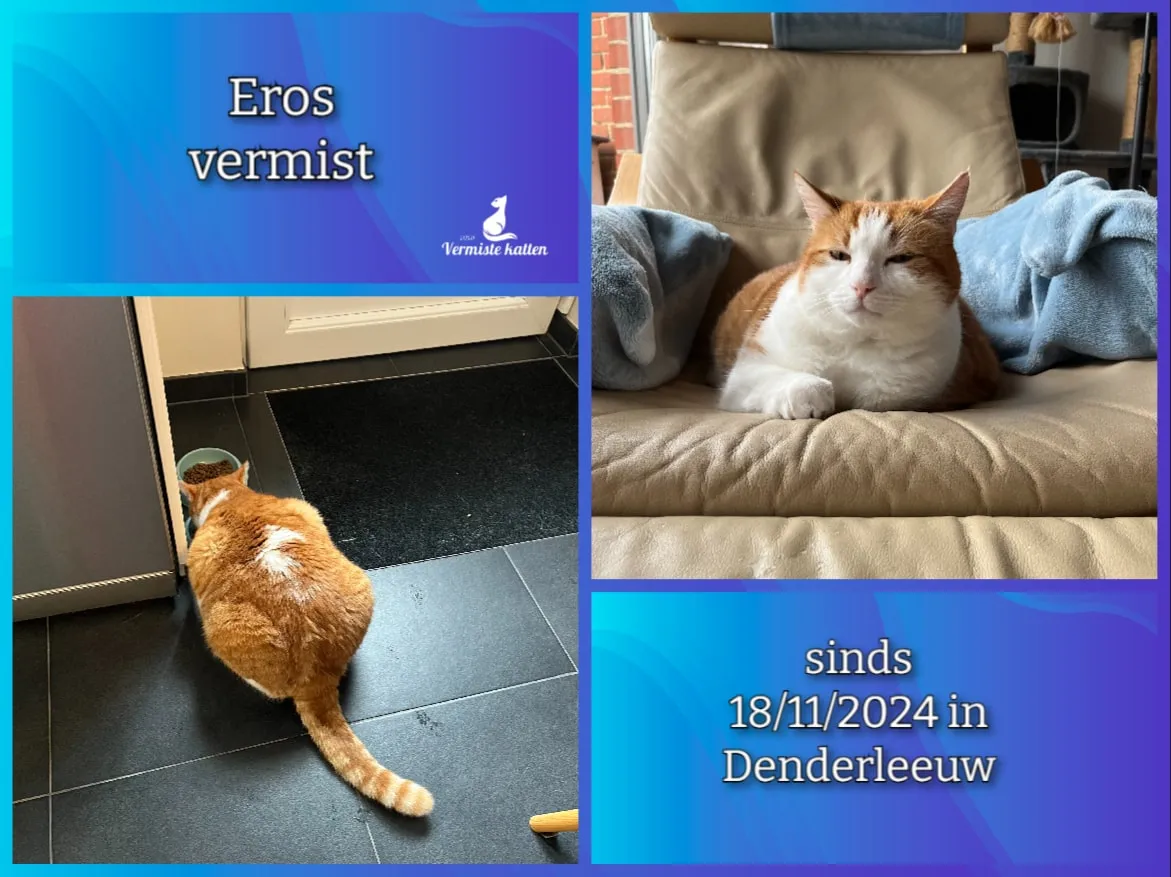 Eros