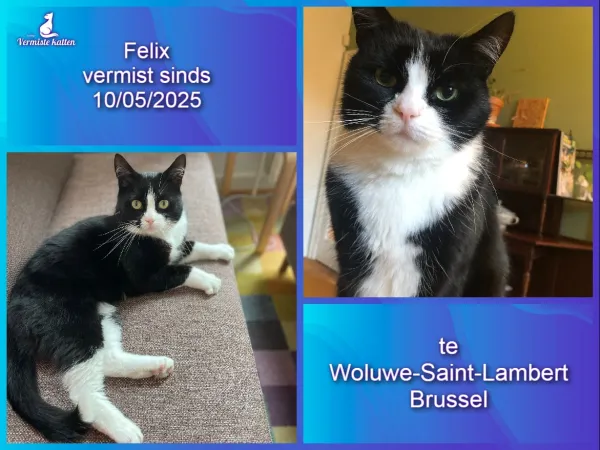 Felix