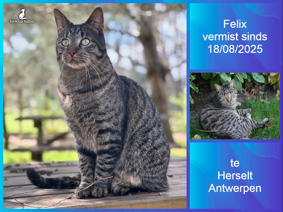 Felix