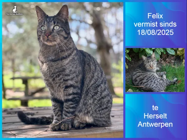 Felix