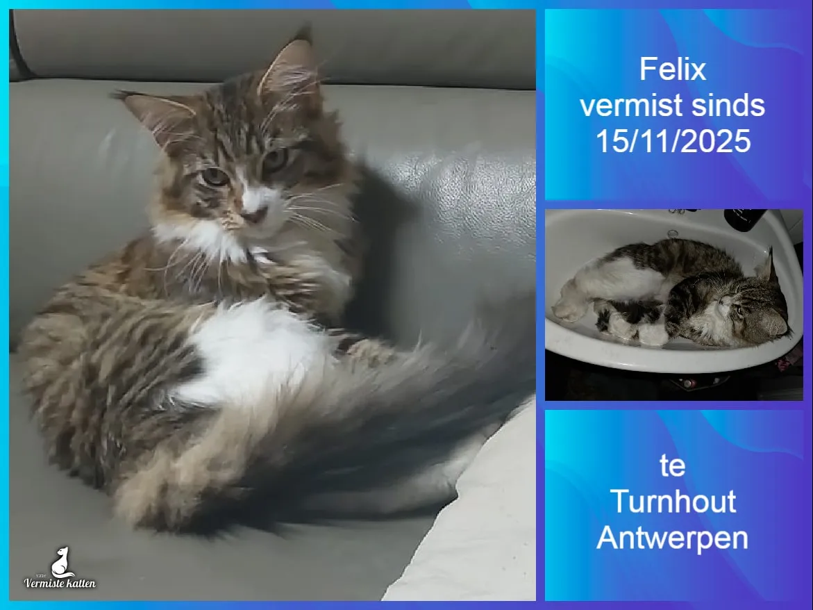 Felix