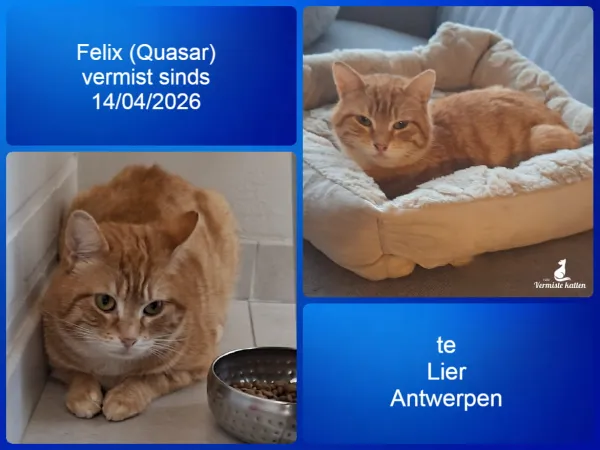 Felix / Quasar