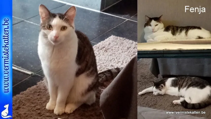 Fenja
