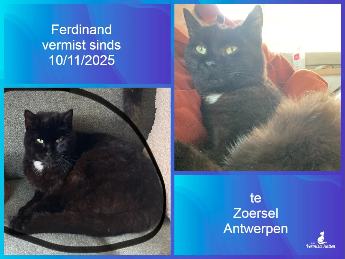 Ferdinand