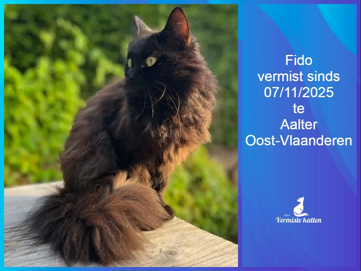 Fido