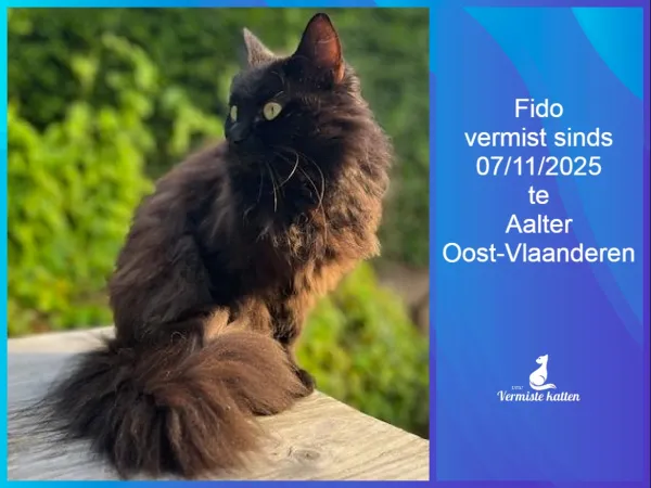 Fido