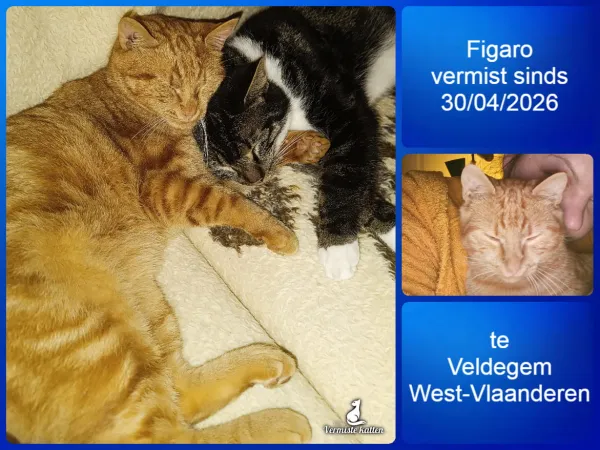 Figaro
