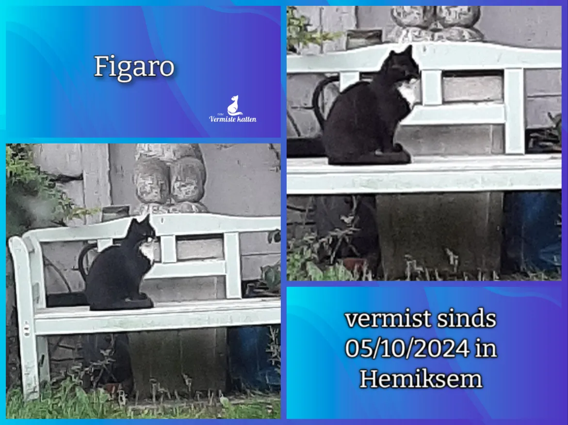 Figaro