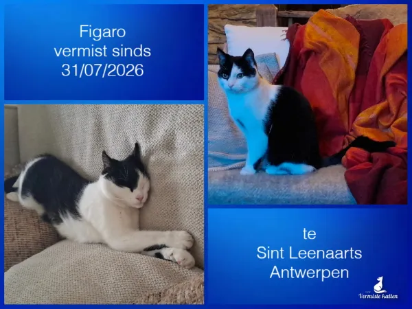 Figaro