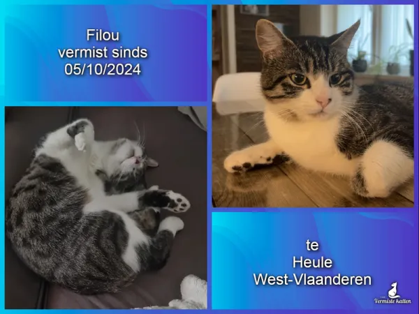 Filou