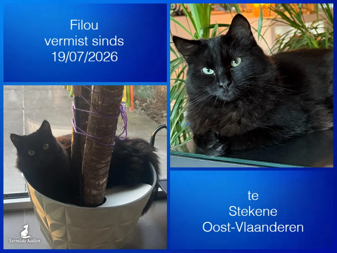 Filou