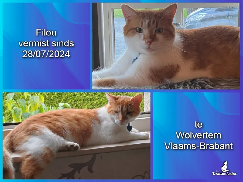 Filou