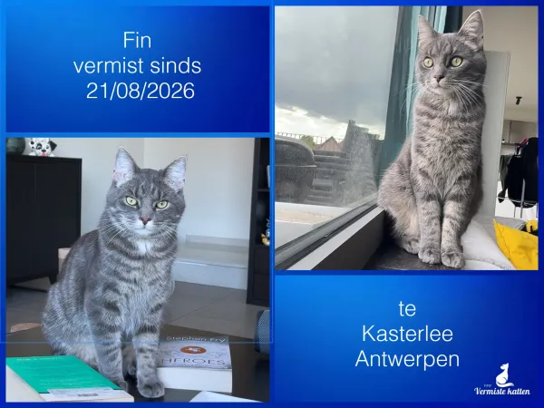 Fin