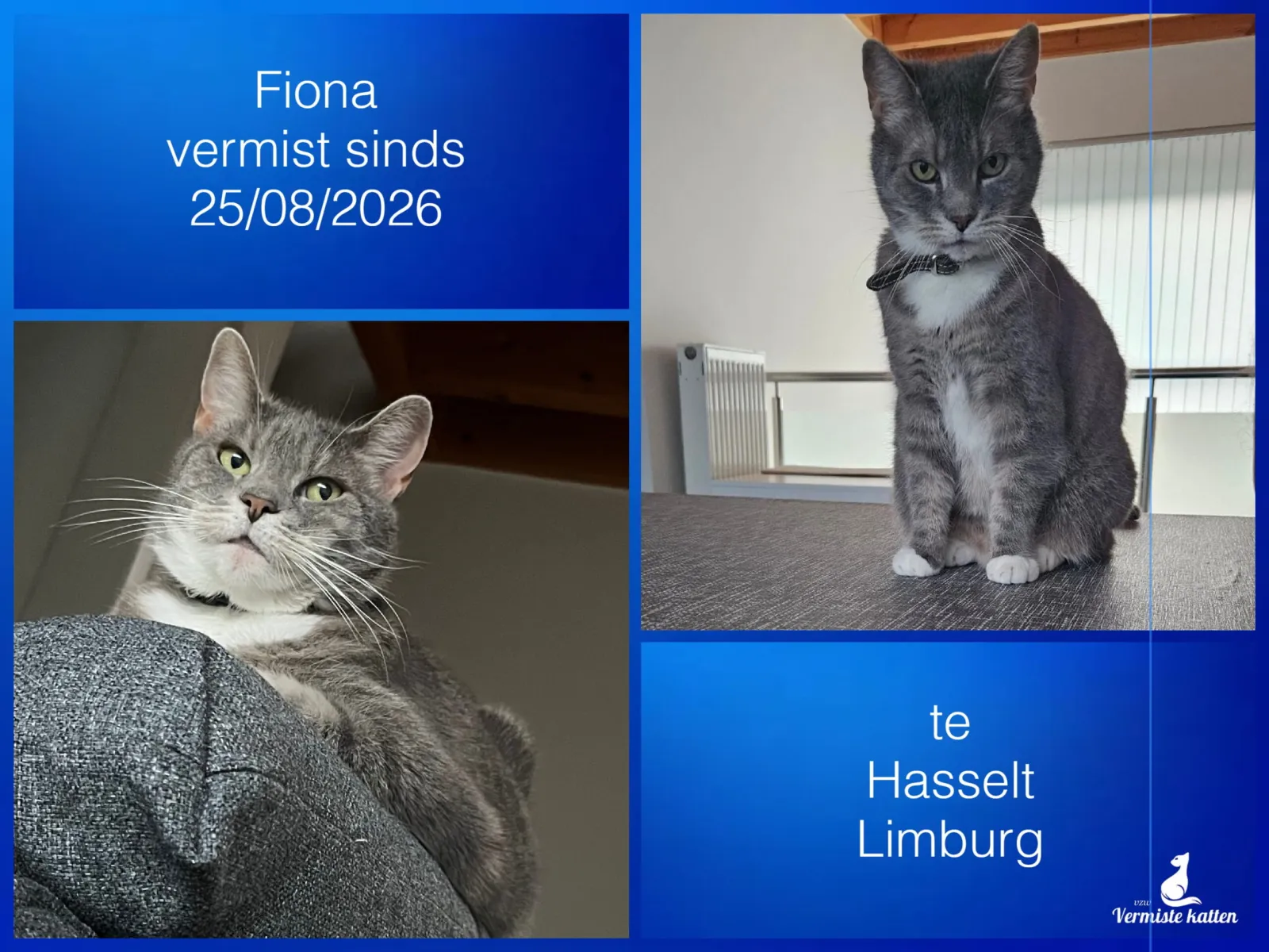 Fiona