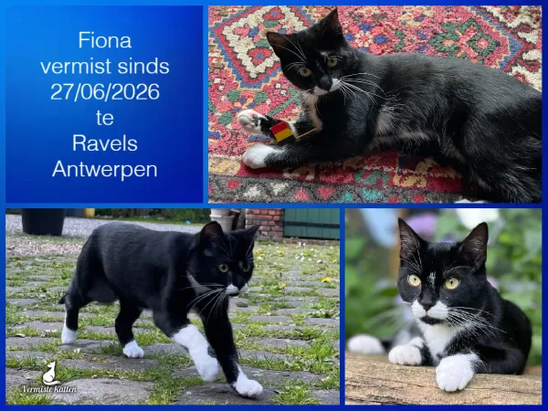 Fiona