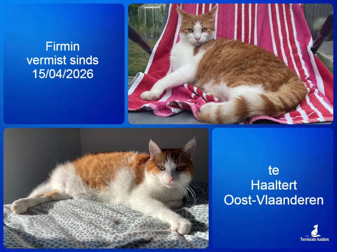 Firmin