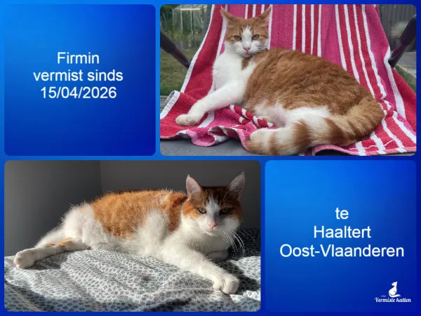 Firmin
