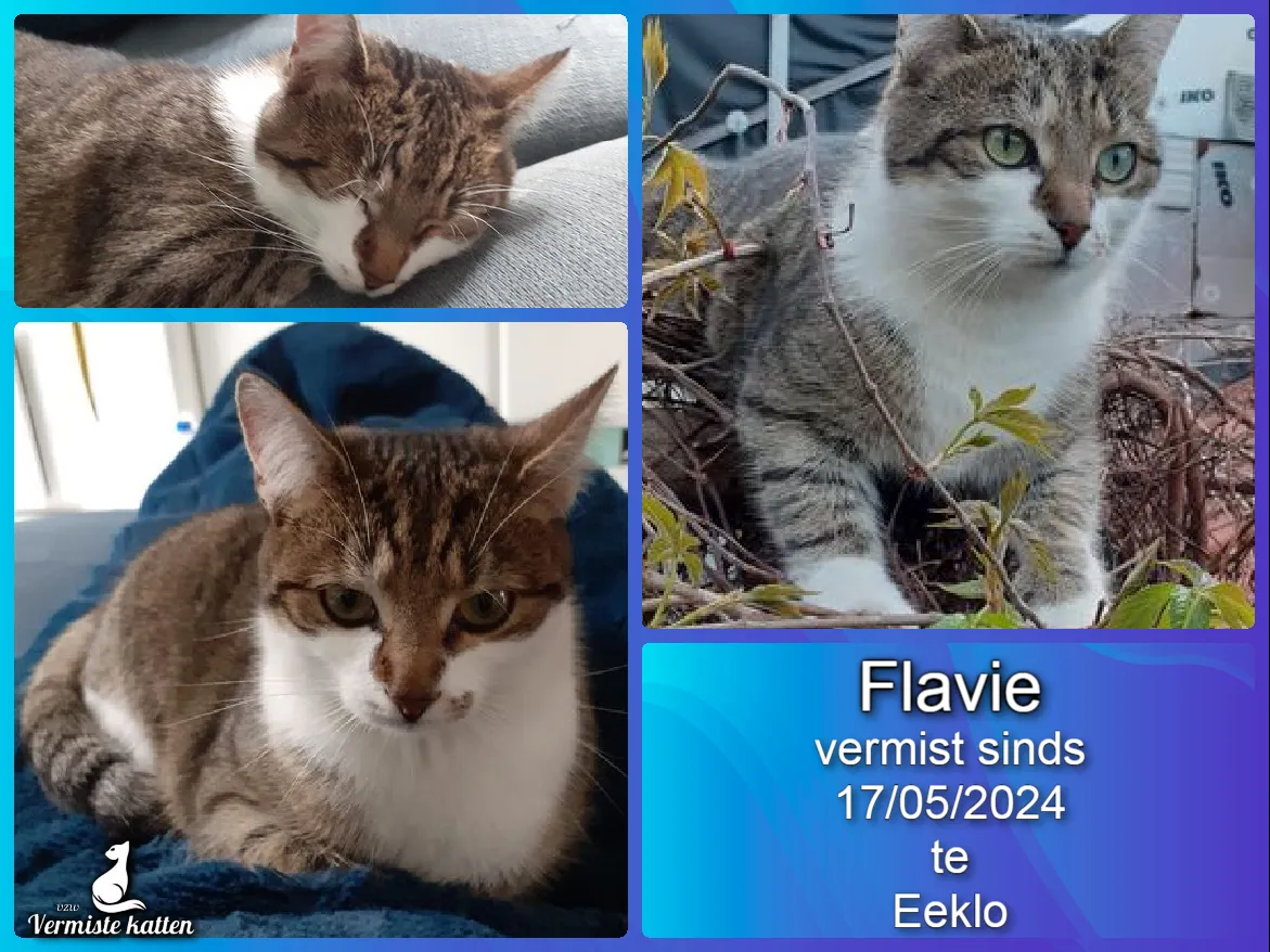 Flavie