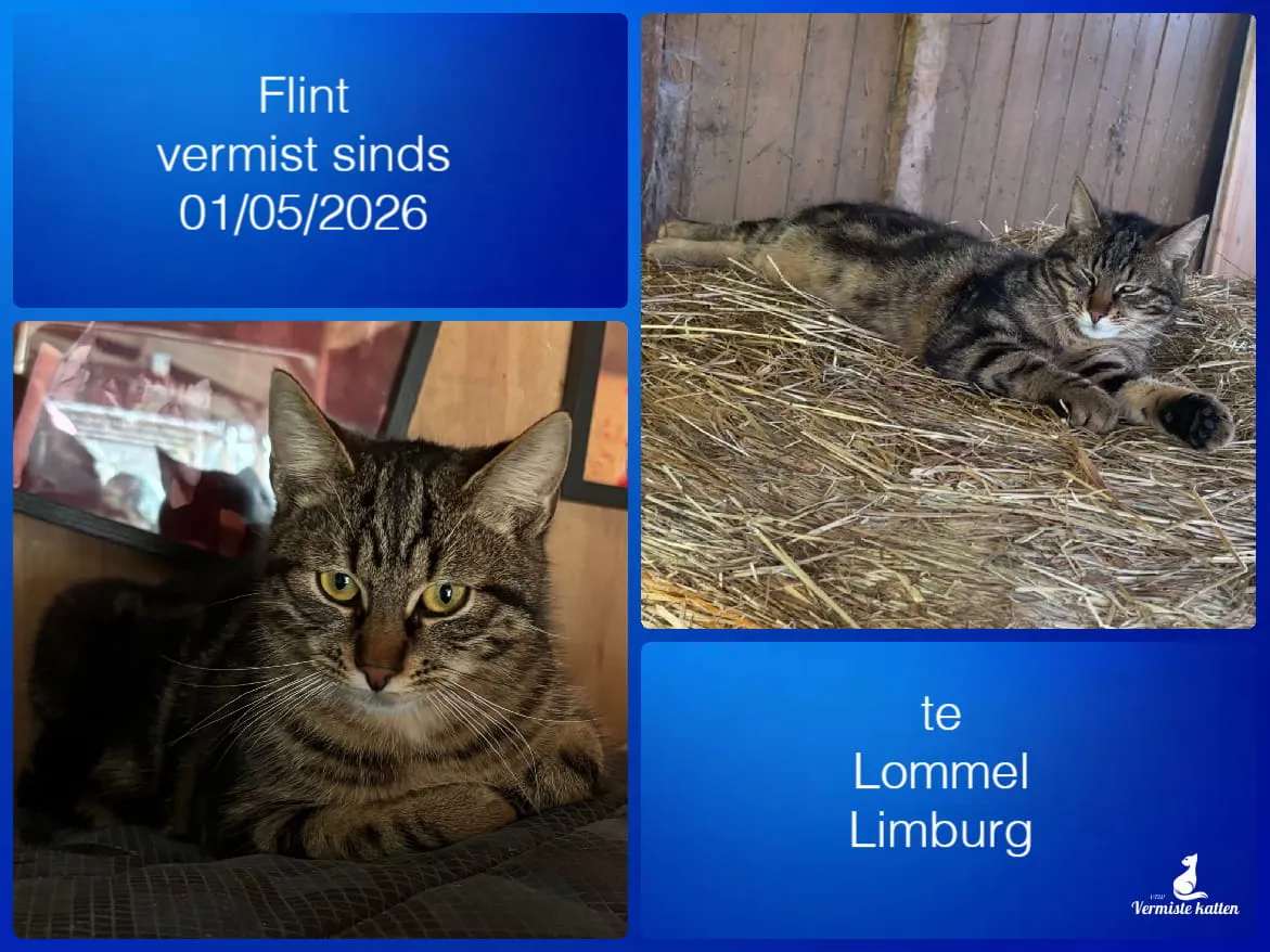 Flint