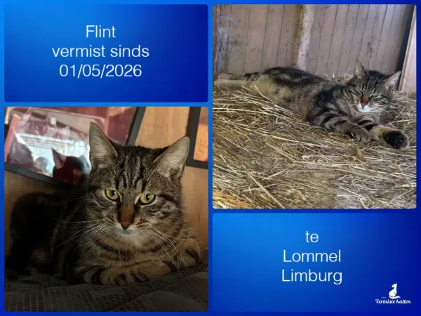 Flint