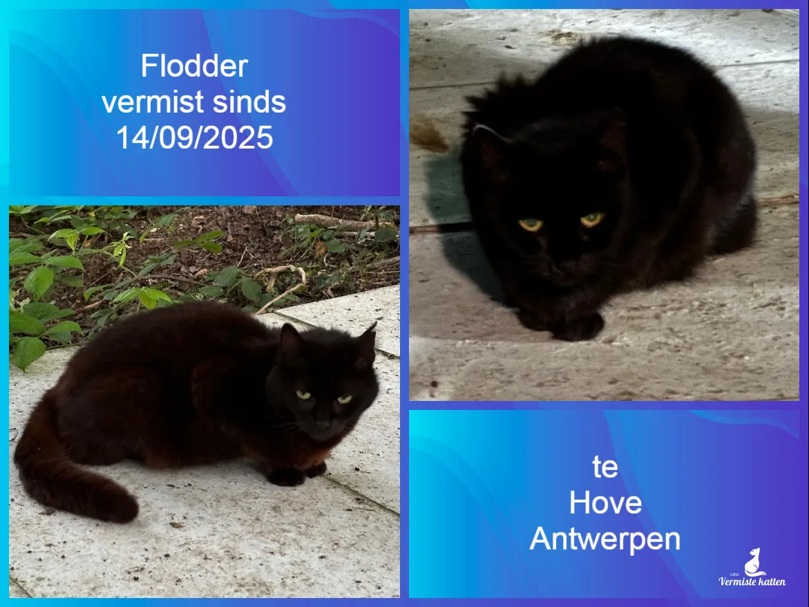 Flodder