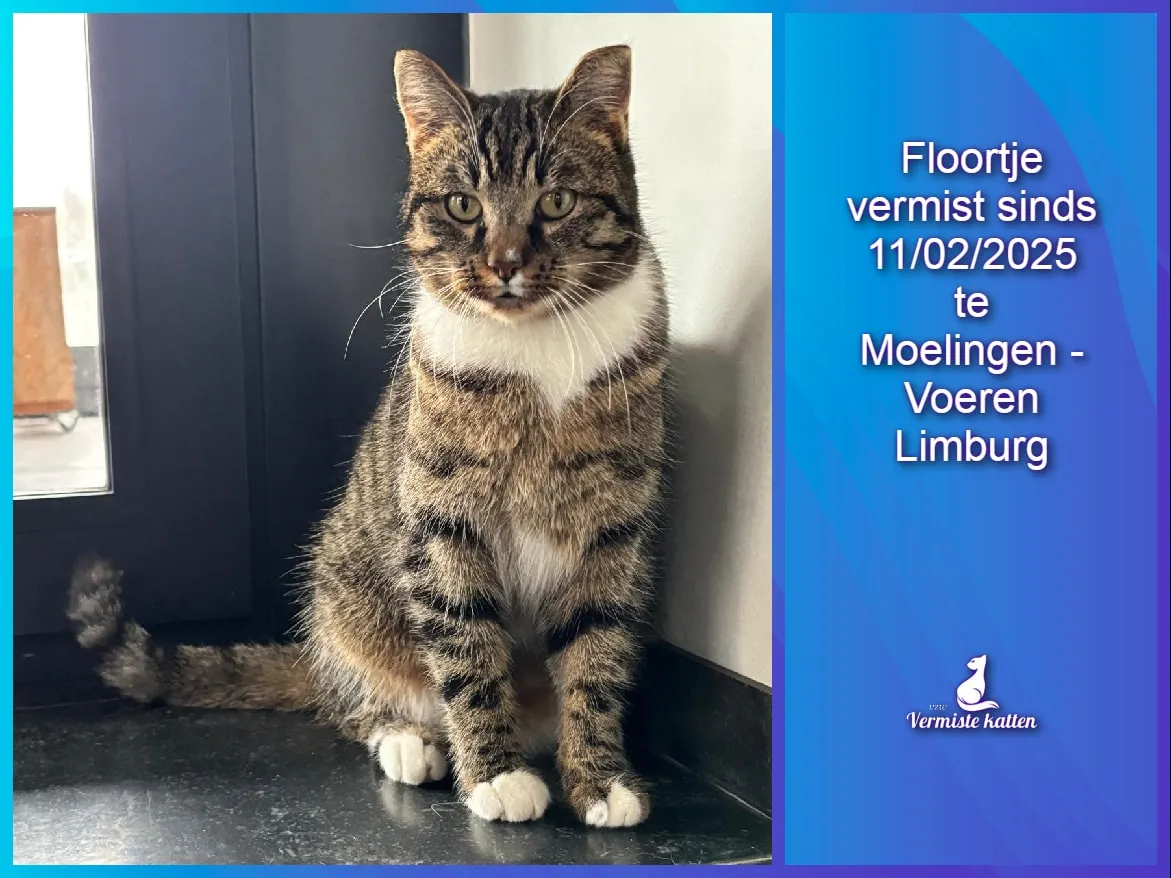 Floortje