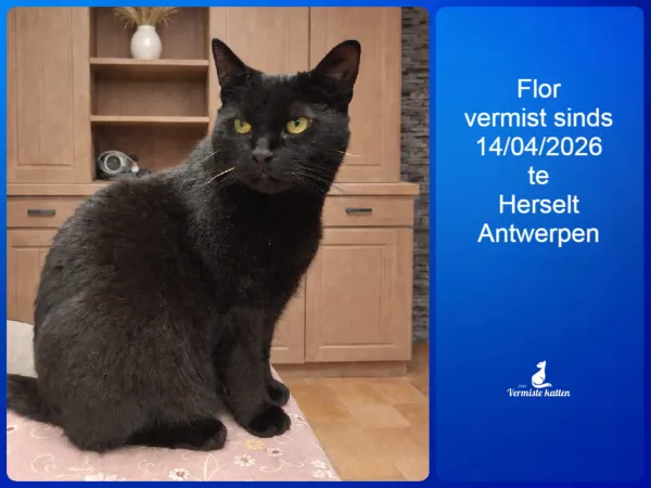 Flor