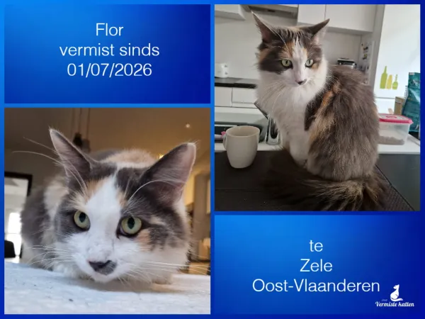 Flor