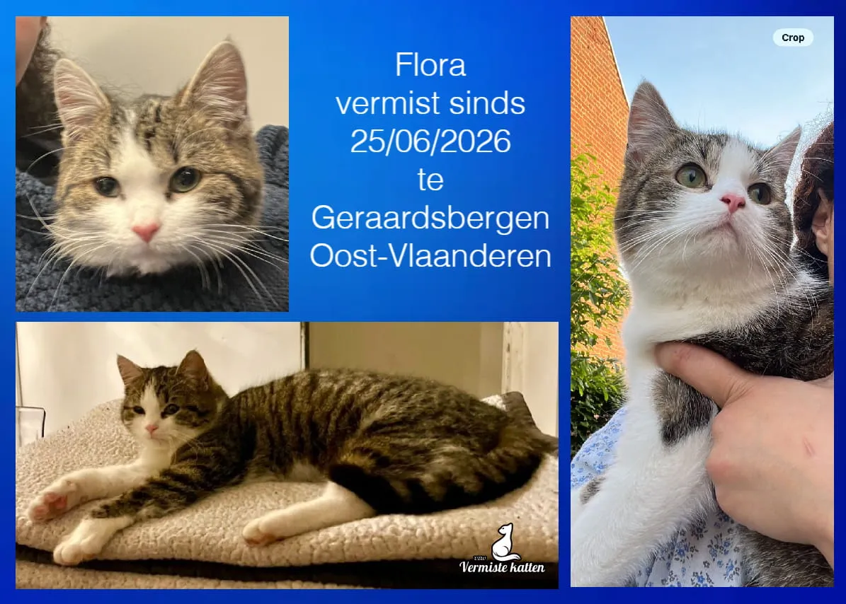 Flora