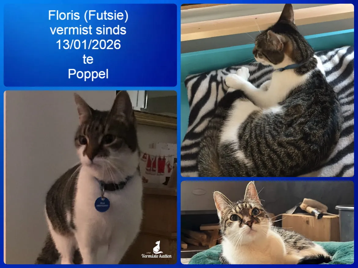 Floris, roepnaam Futsie