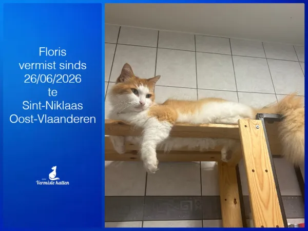Floris