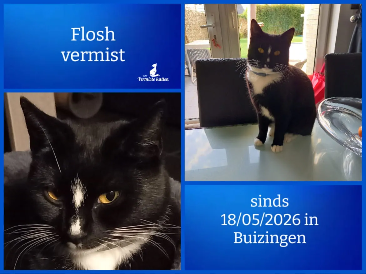 Flosch