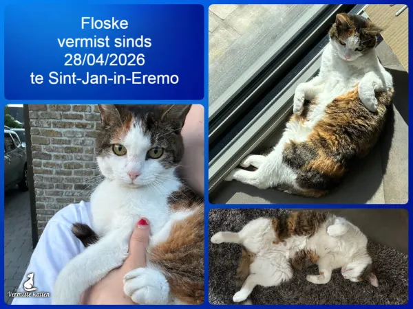 Floske