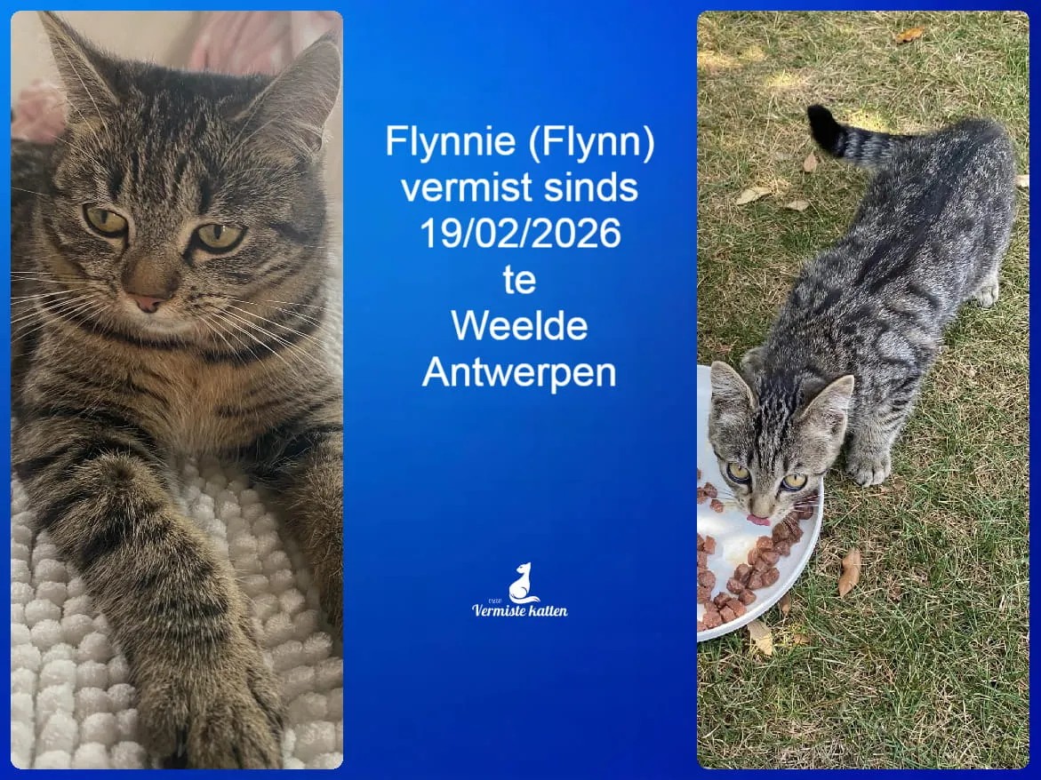 Flynnie (Flynn)