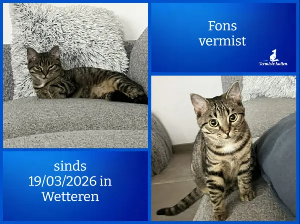 Fons
