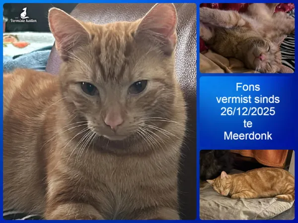Fons