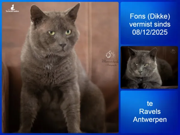 Fons (Dikke)