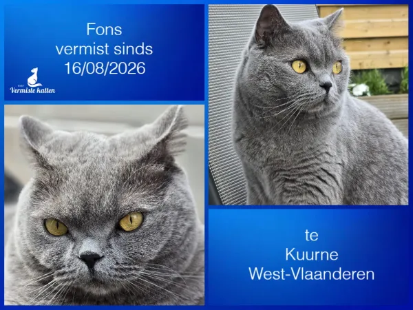 Fons