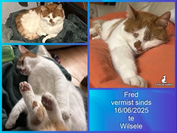 Fred