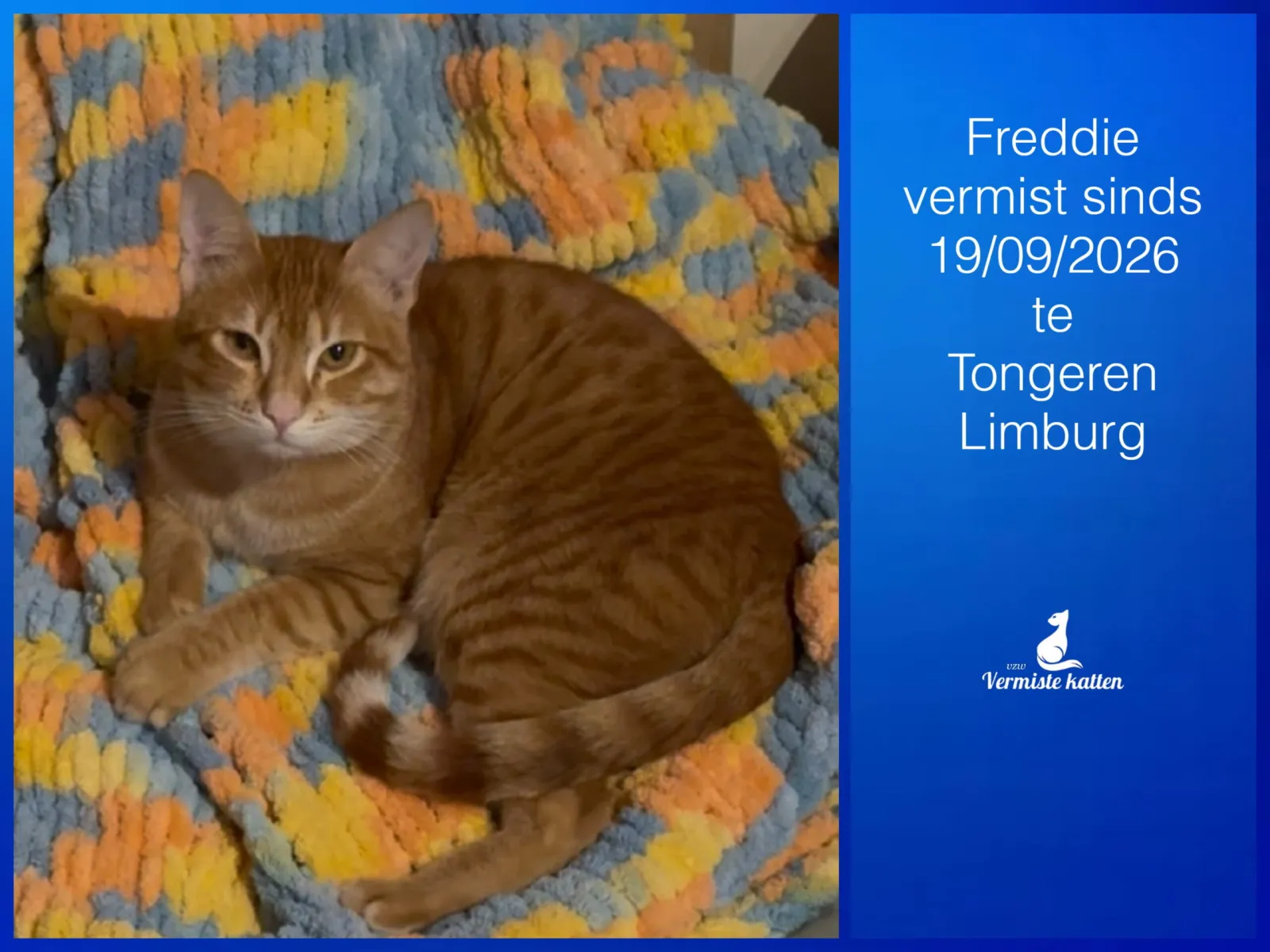 Freddie