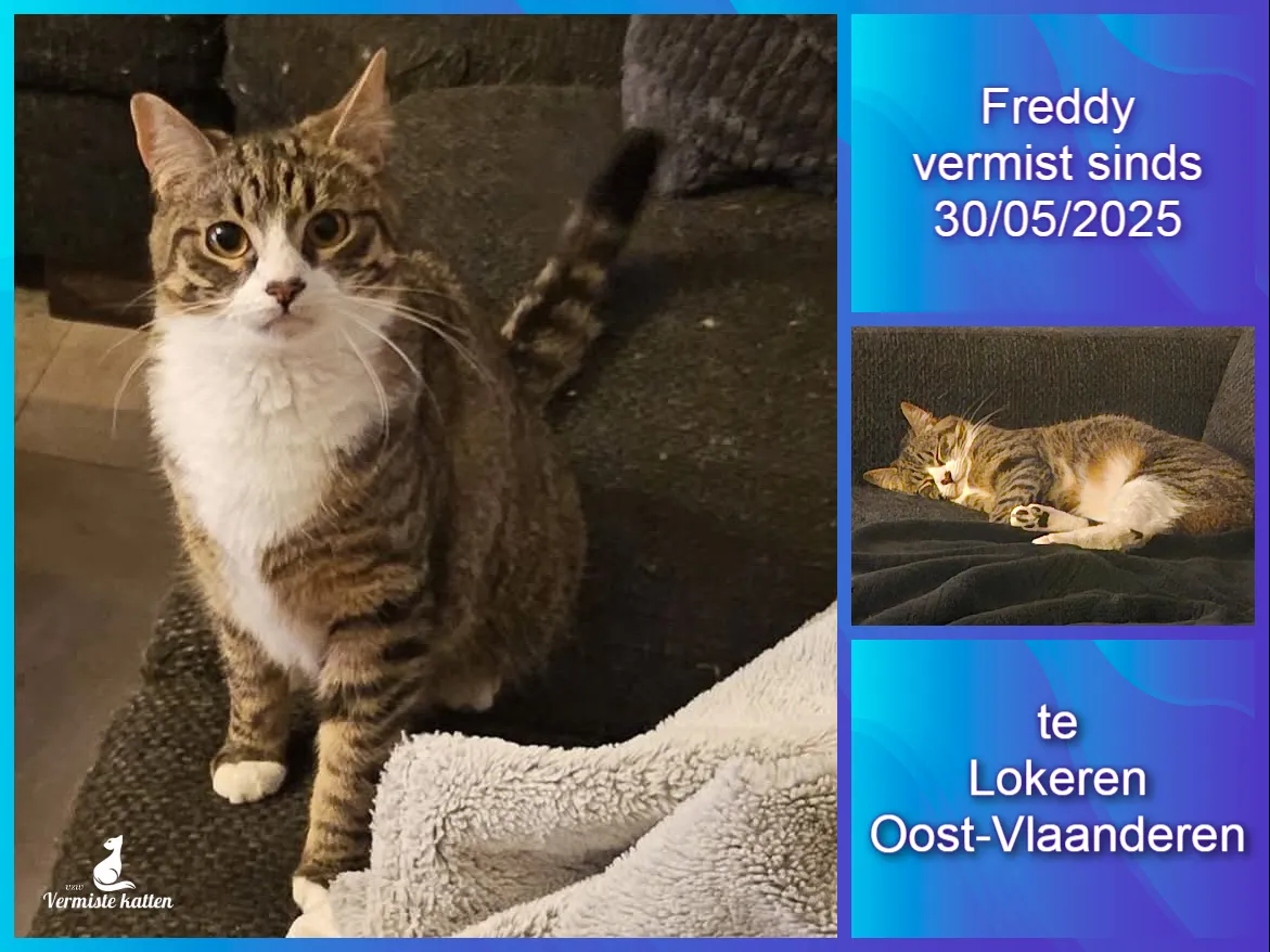 Freddy